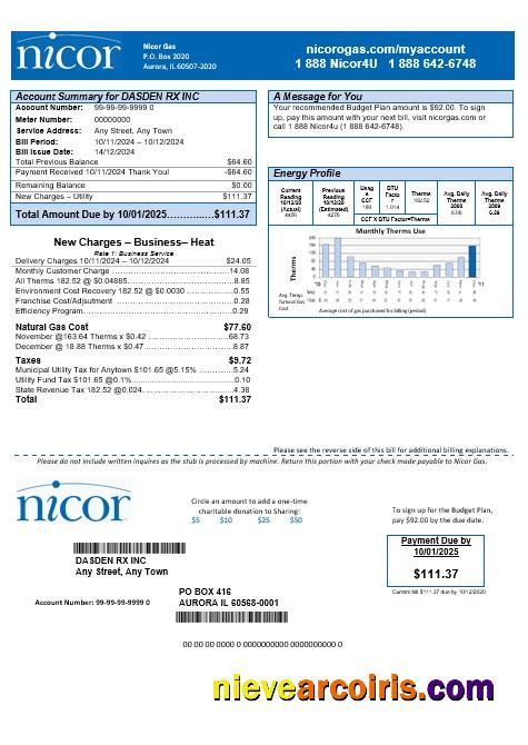 USA Illinois Nicor gas business utility bill